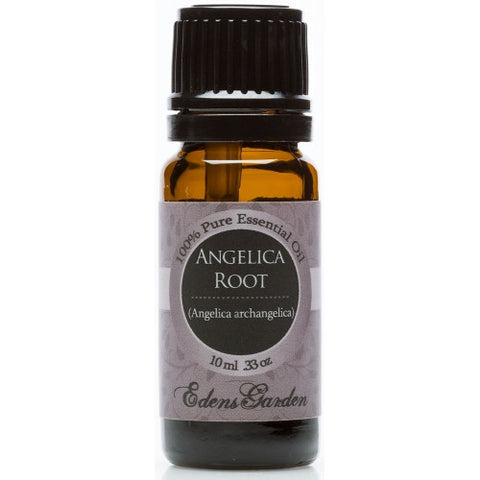 Angelica Root