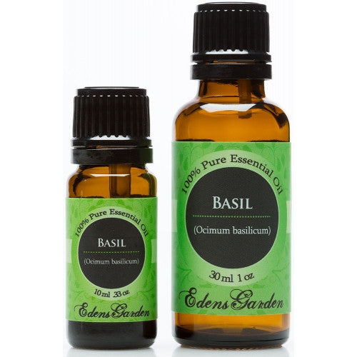Basil