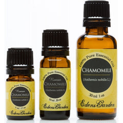 Chamomile Roman