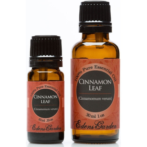 Cinnamon Leaf
