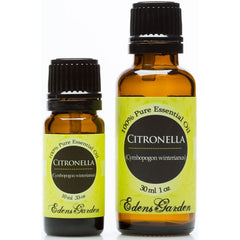 Citronella