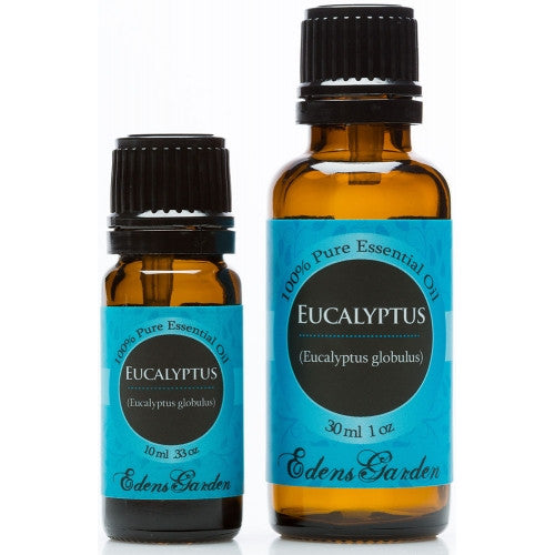 Eucalyptus
