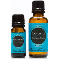 Eucalyptus