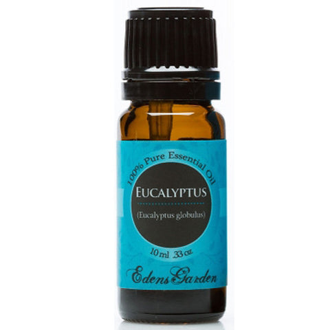 Eucalyptus