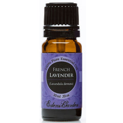 French Lavender