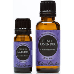 French Lavender