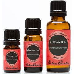 Geranium