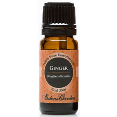 Ginger