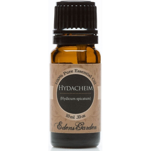 Helichrysum