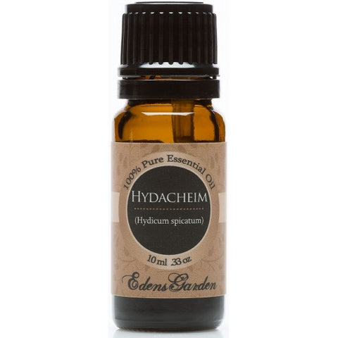 Helichrysum