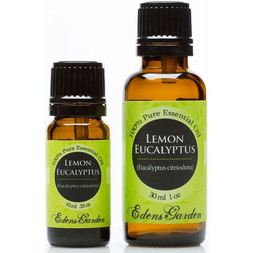 Lemon Eucalyptus