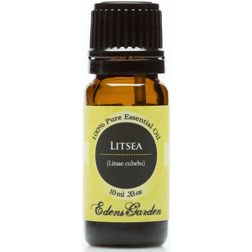 Litsea