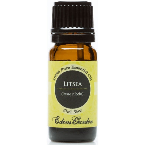 Litsea