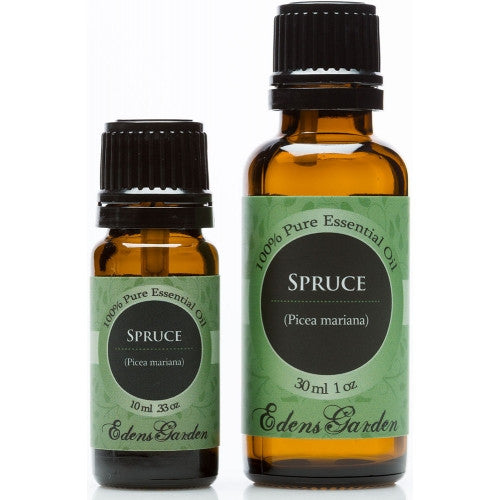 Spruce