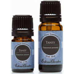 Tansy