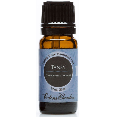 Tansy