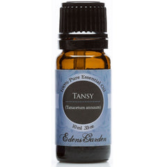 Tansy