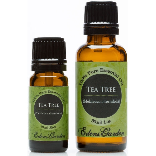 Tea Tree
