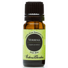 Verbena