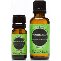 Wintergreen